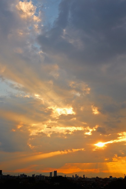 5D3_6216_2048x1536_補正済.jpg