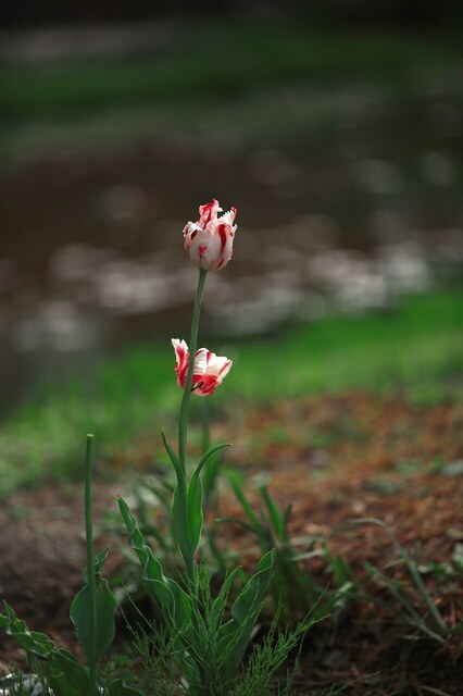 5D3_6318_2048x1365_補正済3.jpg