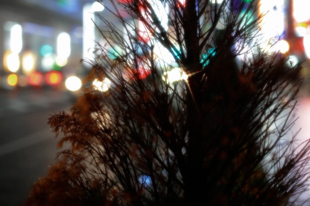 5D3_6319_2048x1365_補正済.jpg