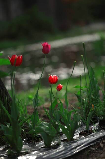 5D3_6319_2048x1365_補正済2.jpg