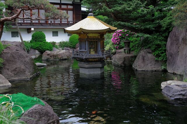 5D3_6843_2048x1365_補正済.jpg