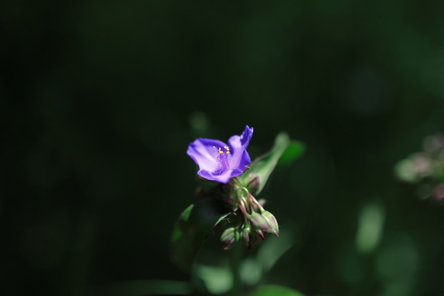 5D3_7348_2048x1365_補正済.jpg