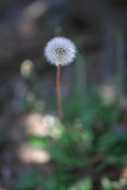 5D3_7367_2048x1365_補正済.jpg