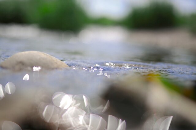 5D3_7473_2048x1365_補正済.jpg