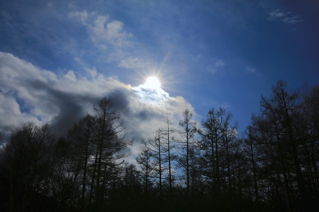 5D3_8908_2048x1365_補正済.jpg