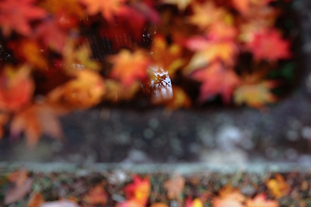 5D3_8932_2048x1365_補正済.jpg