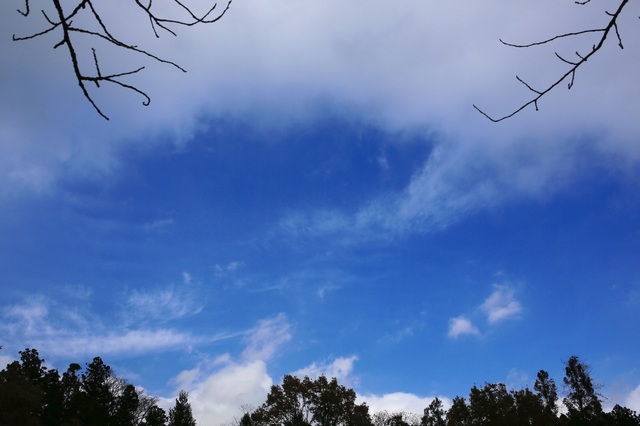 5D3_8942_2048x1365_補正済.jpg