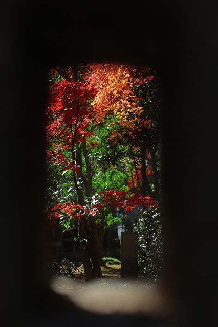 5D3_9090_2048x1365_補正済.jpg