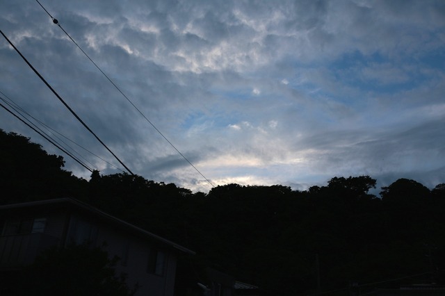 5D3_9159_2048x1365_補正済.jpg