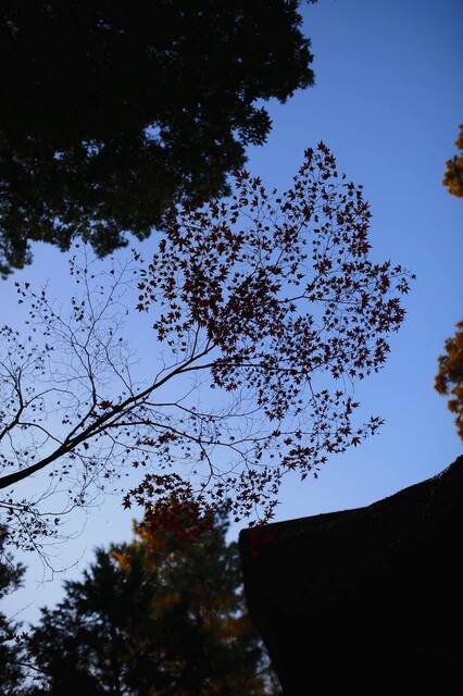 5D3_9260_2048x1365_補正済.jpg