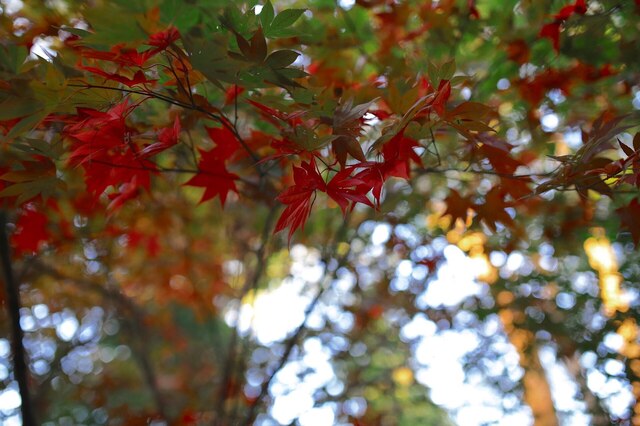 5D3_9268_2048x1365_補正済.jpg