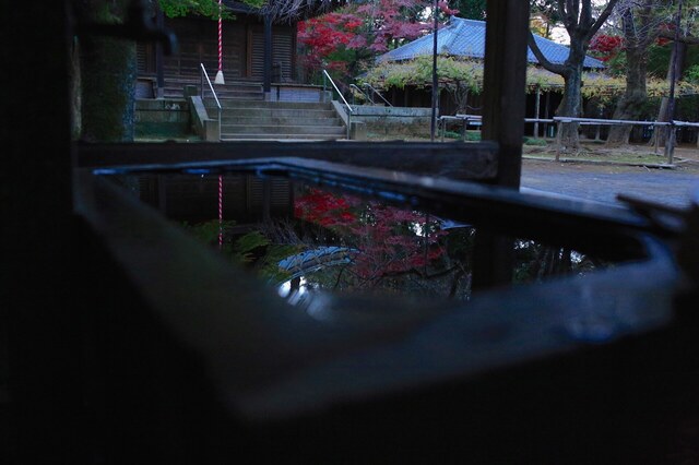 5D3_9350_2048x1365_補正済.jpg
