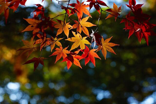 5D3_9538_2048x1365_補正済.jpg
