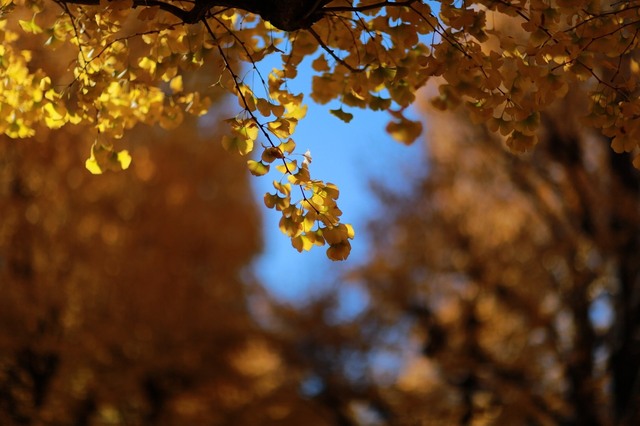 5D3_9625_2048x1365_補正済.jpg