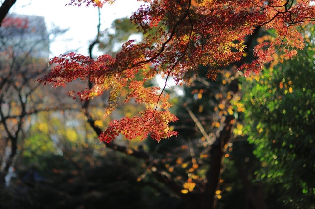 5D3_9705_2048x1365_補正済.jpg