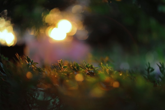 5D3_9756_2048x1365_補正済.jpg