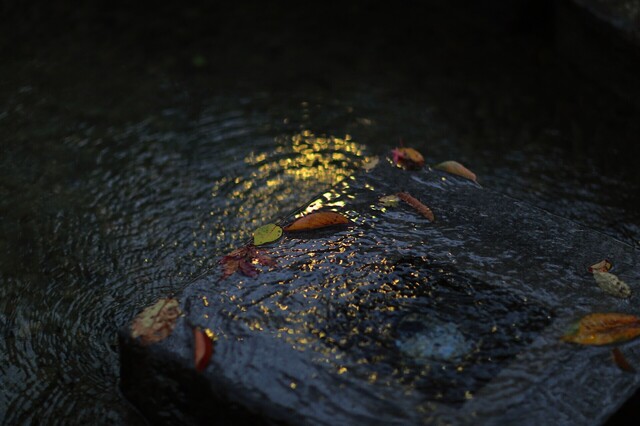 5D3_9766_2048x1365_補正済.jpg