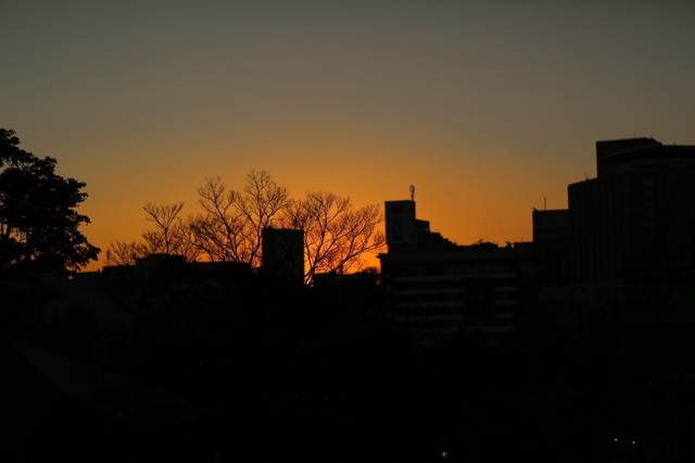 5D3_9773_2048x1365_補正済.jpg