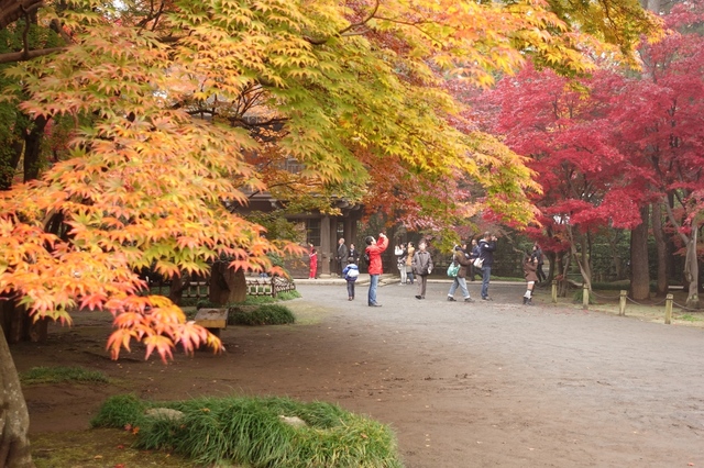 DSC00112_2048x1365.jpg