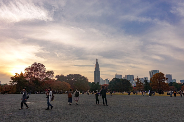 DSC00265_CameraRAW_2048.jpg