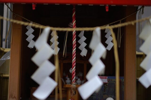 DSC00589_2048x1365_2.jpg