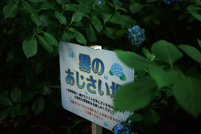 DSC00671_2048x1365_2.jpg