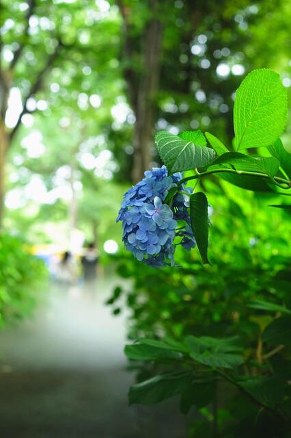 DSC00686_2048x1365_2.jpg