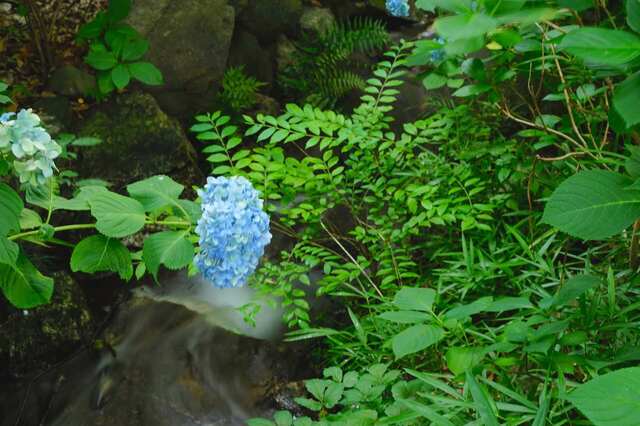 DSC00727_2048x1365_2.jpg