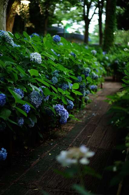 DSC00802_2048x1365_2.jpg