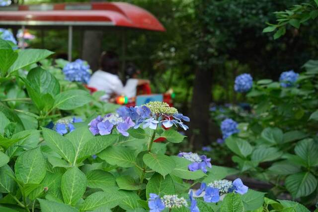 DSC00820_2048x1365_2.jpg