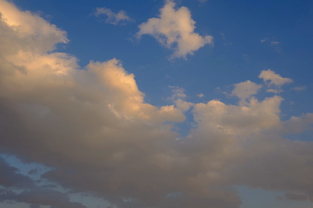 DSCF2369_2048x1365_補正済.jpg