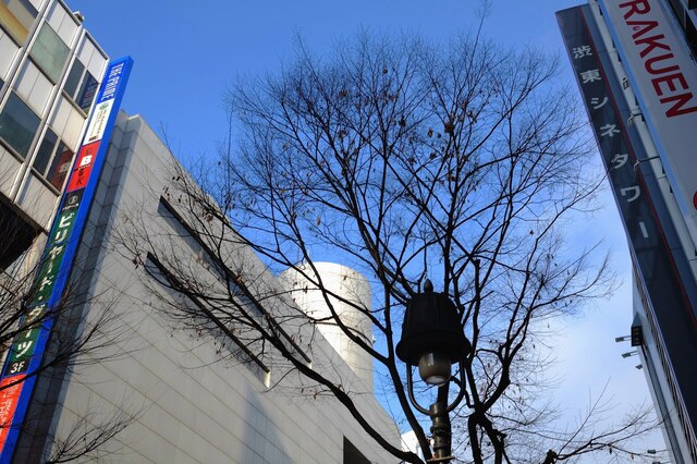 DSCF3080_2048x1365_補正済.jpg