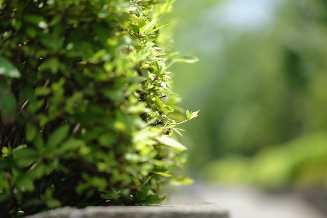 DSCF4572_2048x1365_補正済.jpg