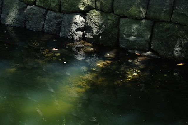DSCF4584_2048x1365_補正済.jpg