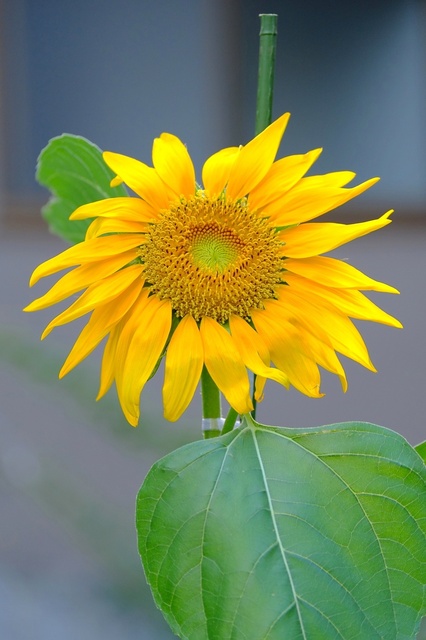DSCF4850_2048x1365_補正済.jpg