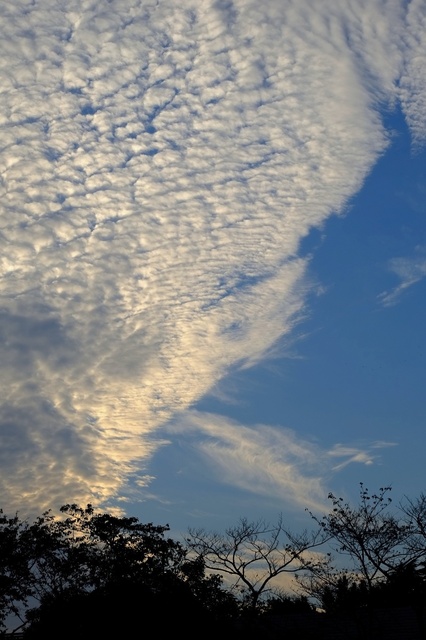 DSCF4856_2048x1365_補正済.jpg