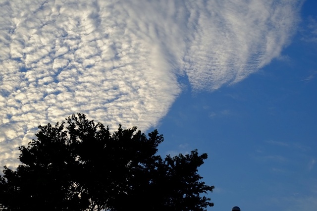 DSCF4857_2048x1365_補正済.jpg