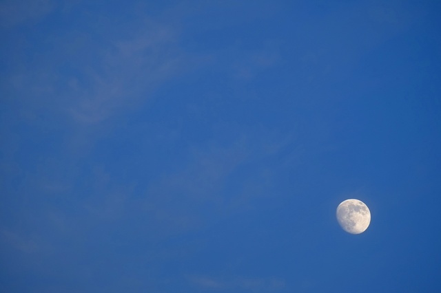DSCF4915_2048x1365_補正済.jpg