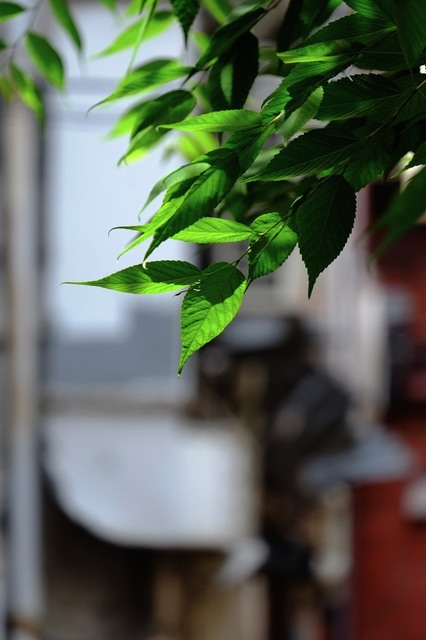 DSCF5083_2048x1365_補正済.jpg