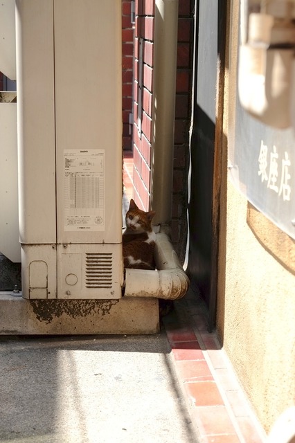 DSCF5108_2048x1365_補正済.jpg