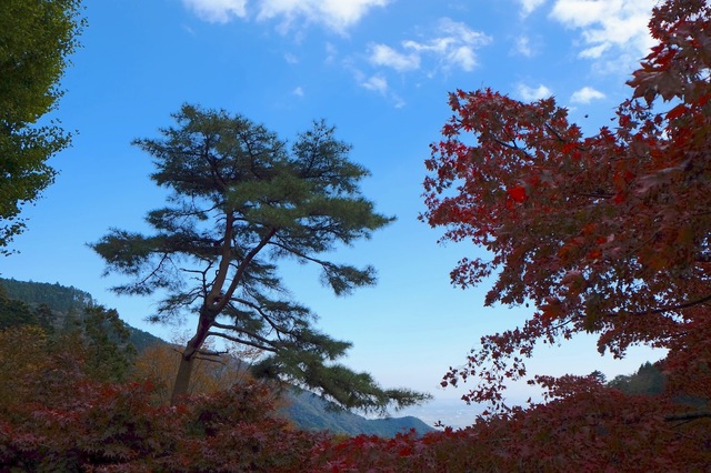 DSCF5684_2048x1365_補正済.jpg