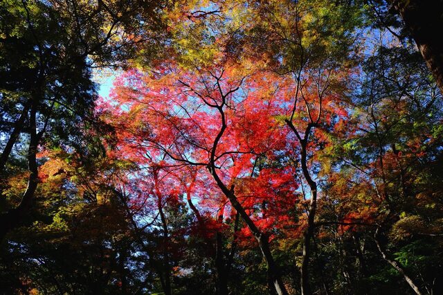 DSCF5847_2048x1365_補正済.jpg