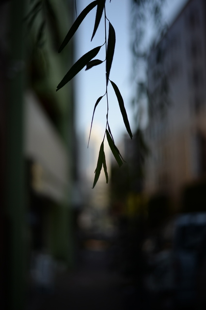 DSC_0363_2048x1365.jpg