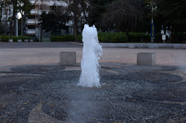 DSC_0391_2048x1365.jpg
