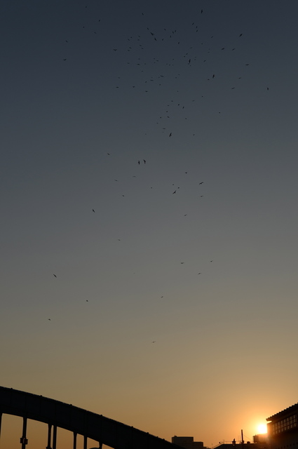 DSC_0410_2048x1365.jpg