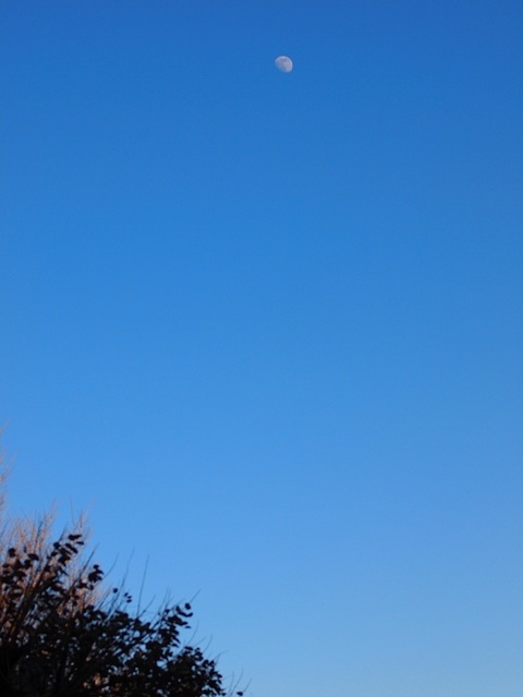 E1168107_1280x960_補正済.jpg