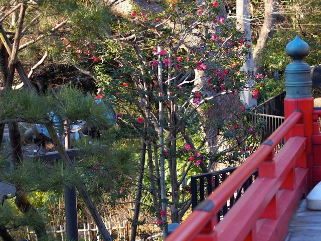 E1168128_1280x960_補正済.jpg