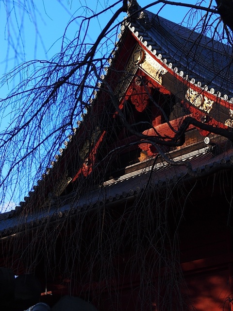 E1168139_1280x960_補正済.jpg