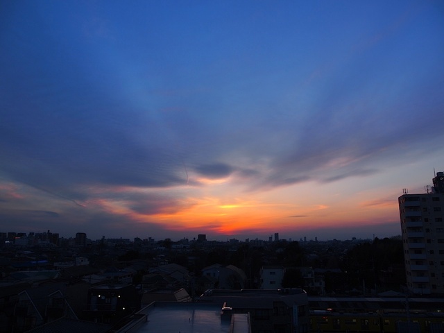 E3123682_1280x960_補正済.jpg