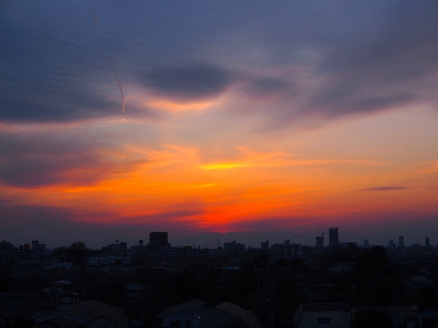E3123683_1280x960_補正済.jpg